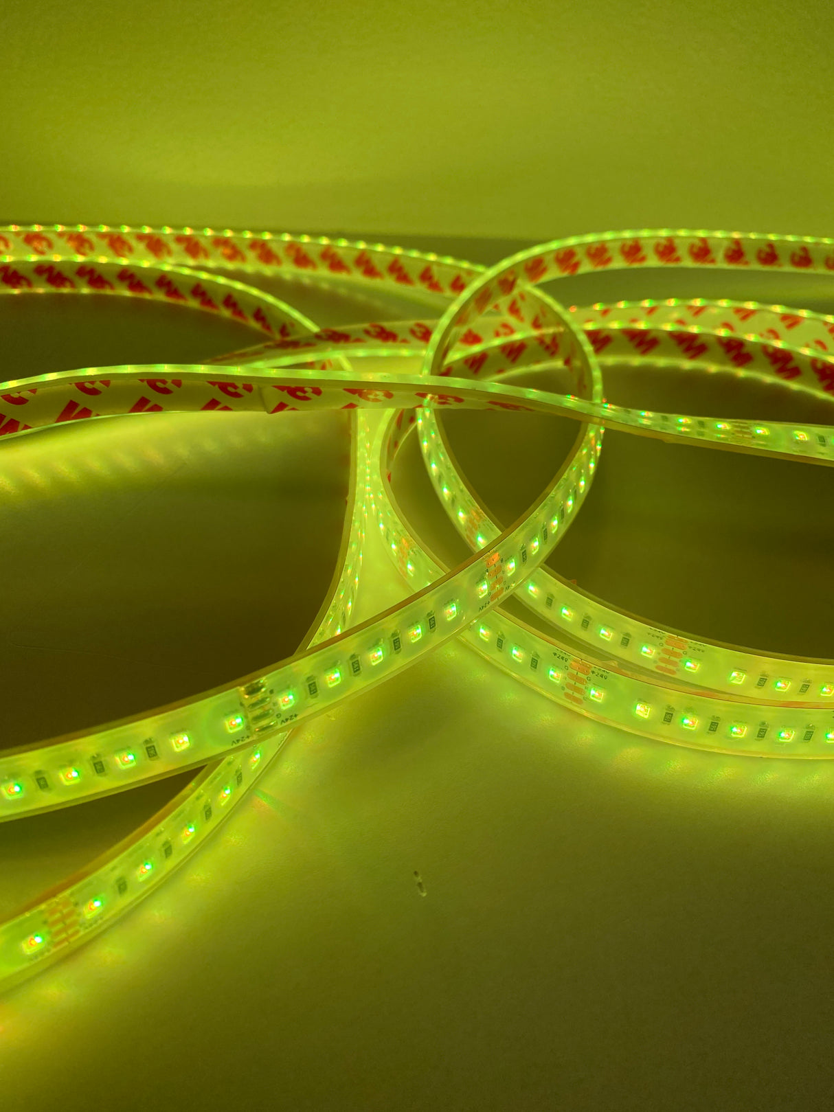 Close-up of the Bright RGB IP68 LED Strip (24V) ~ Verbena Series, coiled in loose loops on a flat surface with visible adhesive backing. Osram components emit a soft yellow glow, creating an inviting ambiance.