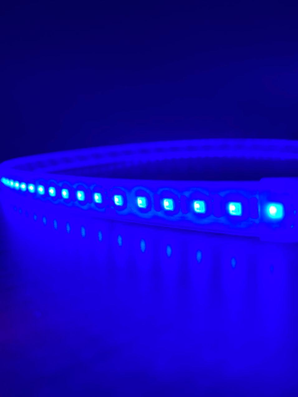 A close-up of the Bright RGB IP20 LED Strip (24V) ~ Verbena Series glowing bright blue in a dark environment, with individual LEDs clearly visible and their reflections on the surface below.
