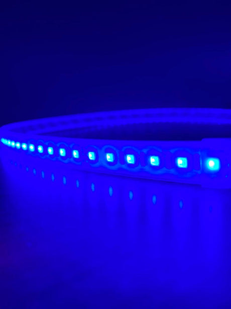 A close-up of the Bright RGB IP20 LED Strip (24V) ~ Verbena Series glowing bright blue in a dark environment, with individual LEDs clearly visible and their reflections on the surface below.