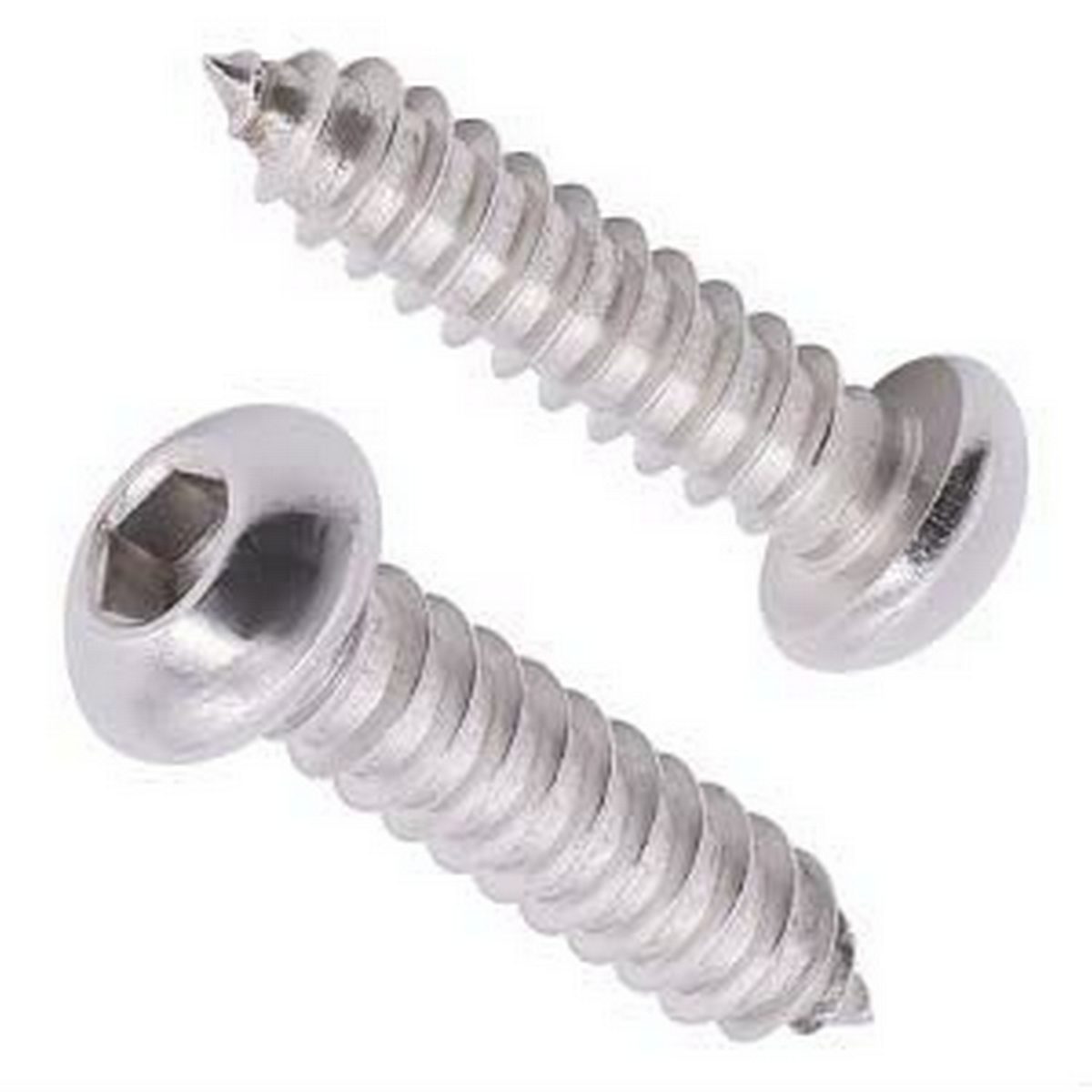 Two Stainless Steel Round Head Screws for End Caps, featuring threads along their shafts and positioned against a white background.