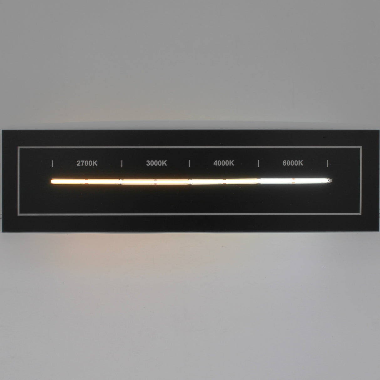The Continuous COB IP20 LED Strip (24V) ~ White Lily Series showcases color temperatures—2700K, 3000K, 3500K, 4000K, and 6000K—on a horizontal strip with labeled sections for decorative lighting against a black background.