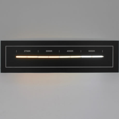 The Continuous COB IP20 LED Strip (24V) ~ White Lily Series showcases color temperatures—2700K, 3000K, 3500K, 4000K, and 6000K—on a horizontal strip with labeled sections for decorative lighting against a black background.
