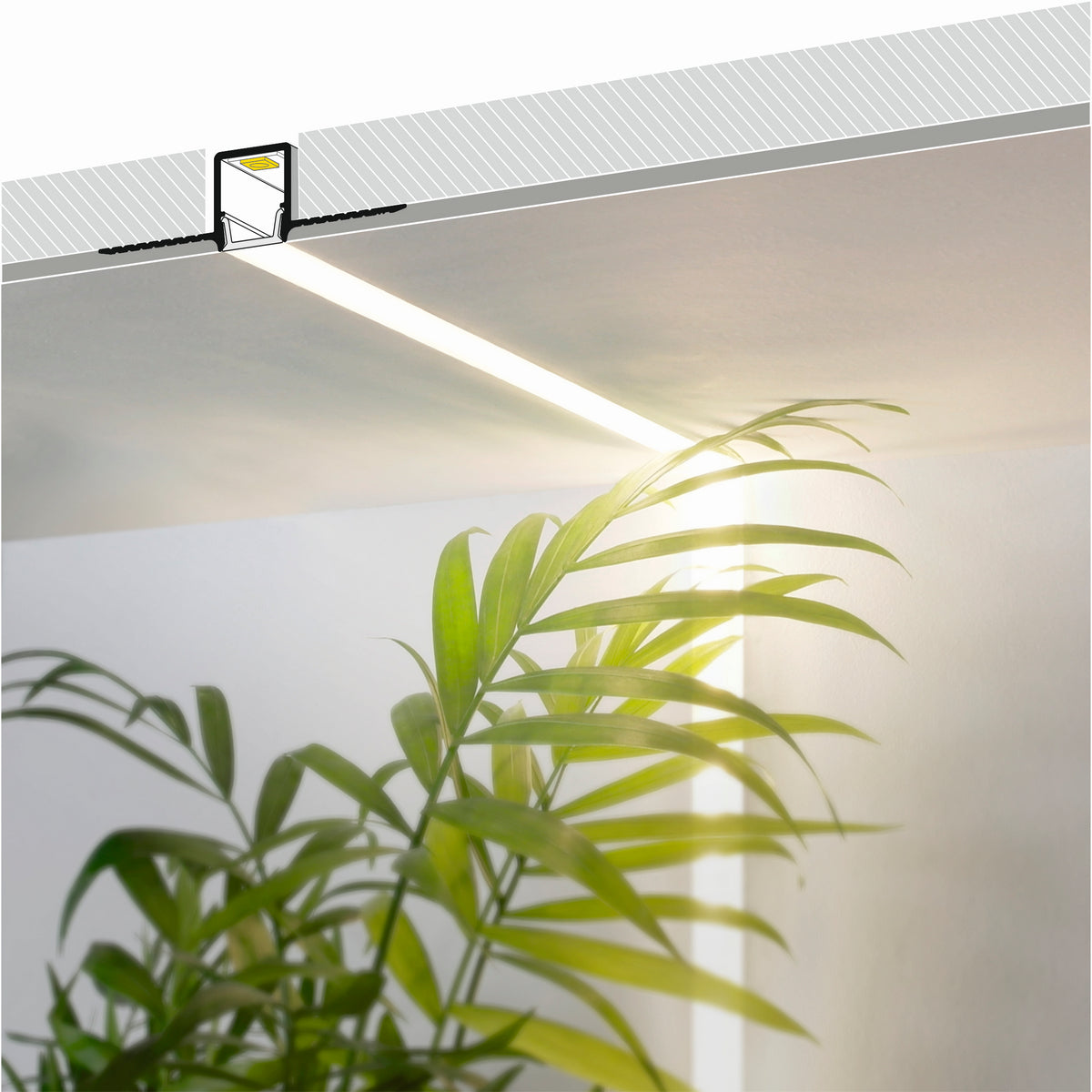 A green leafy plant indoors is lit by a continuous line of light from the 0.39 Plasterboard Trimless LED Channel (Model Hide10) mounted along a white ceiling edge. A cross-sectional diagram of Model Hide10 is shown above.