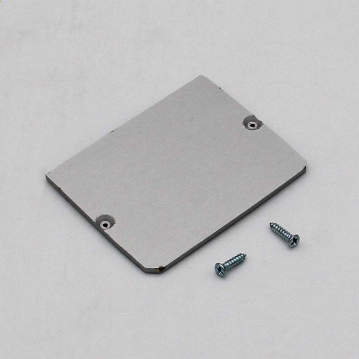 An Aluminum End Cap for the PL55-PL Profile, rectangular and anodized with two screw holes near adjacent edges, is shown on a white surface beside two matching screws.