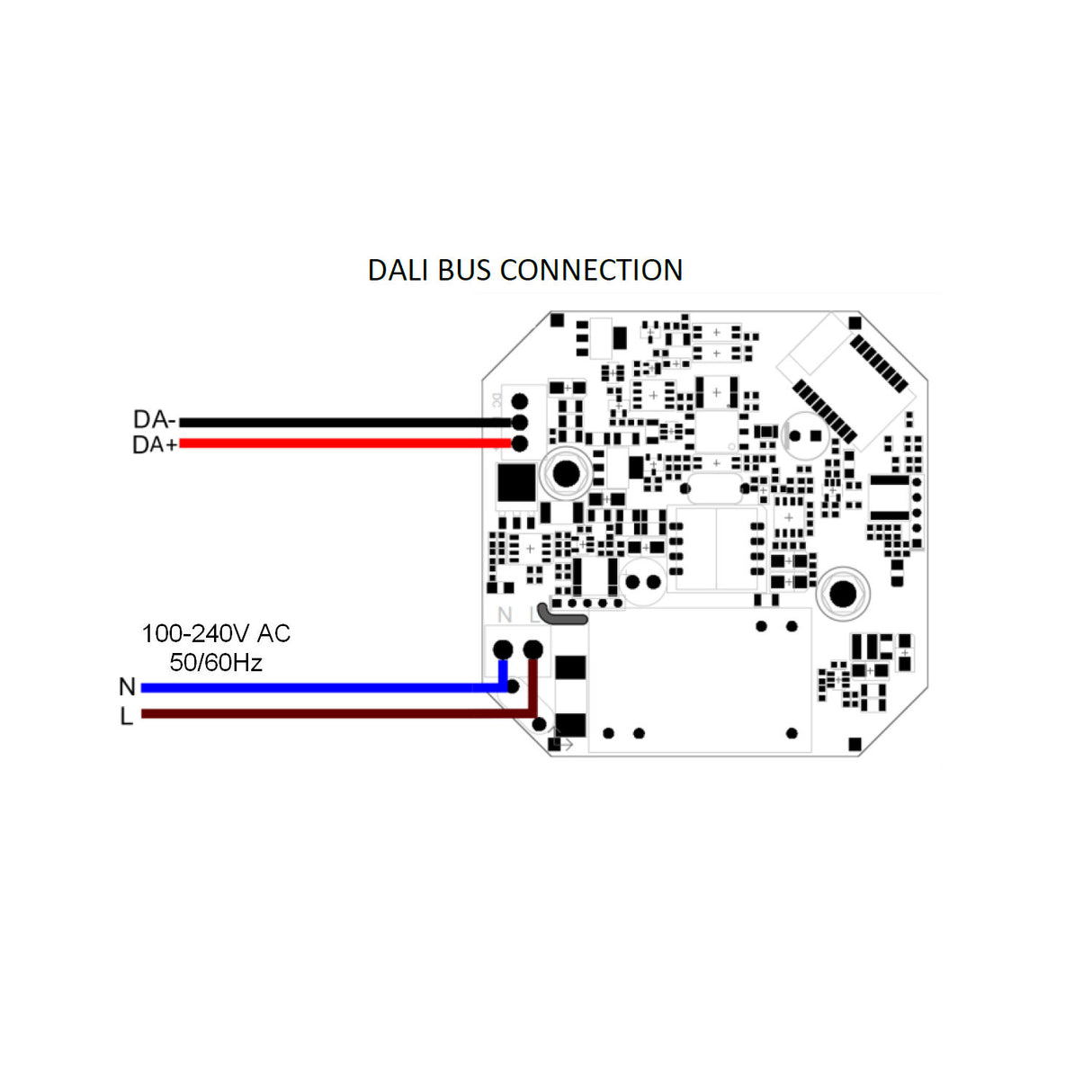 Diagram of circuit board for Casambi Enabled DALI Master (Model CBU-MASTER-DALI-IP) showing DALI Bus (DA+, DA-) in red/black and 100-240V AC power (L, N) in blue/black, with labeled points for wireless DALI integration.