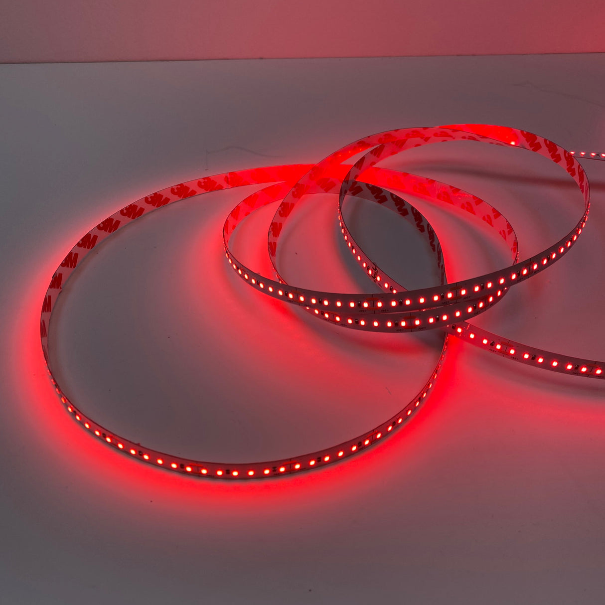 Single Color High Power IP20 LED Strip (24V) ~ Carnation Series - Wired4Signs USA - Buy LED lighting online