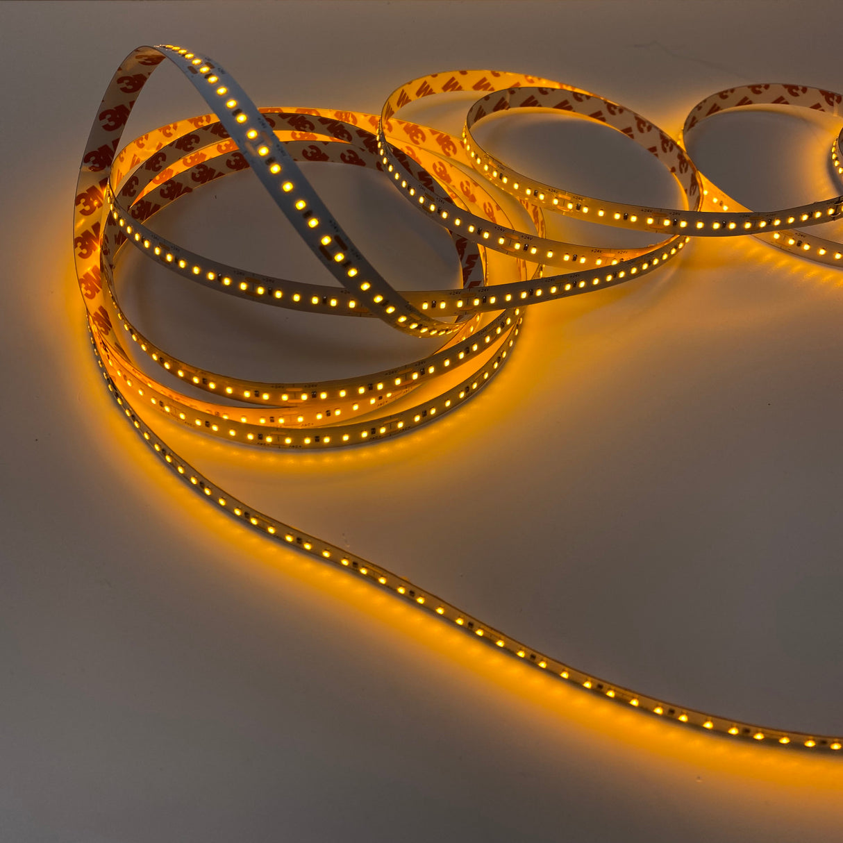 Single Color High Power IP20 LED Strip (24V) ~ Carnation Series - Wired4Signs USA - Buy LED lighting online