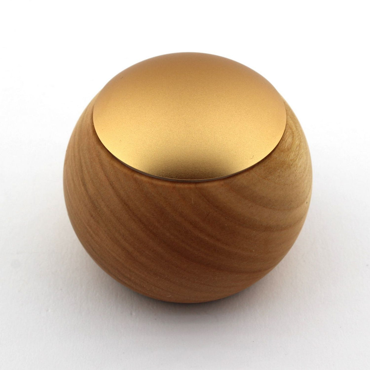 Portable Casambi Smart Touch Switch ~ Model Lepuk - Wired4Signs USA - Buy LED lighting online