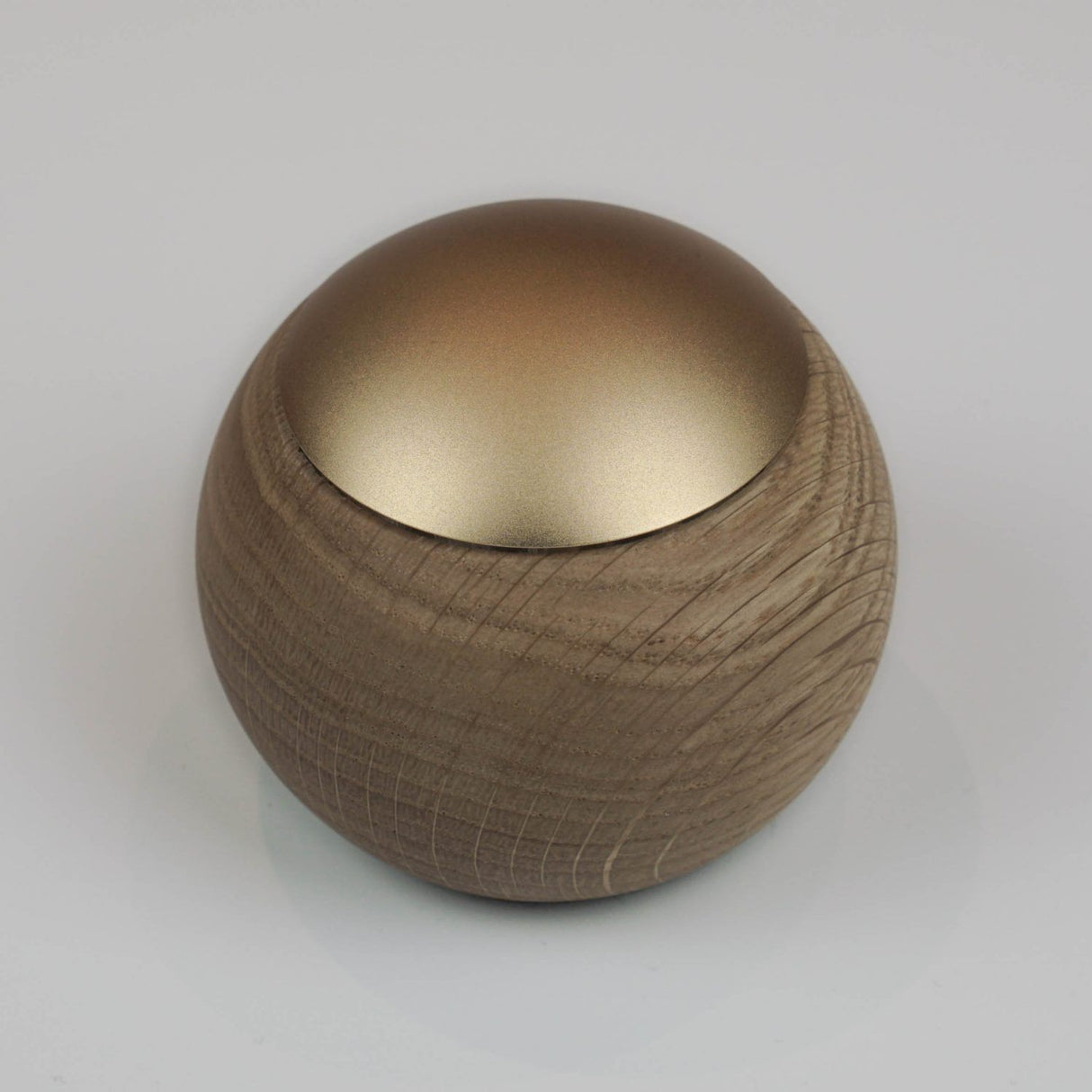 Portable Casambi Smart Touch Switch ~ Model Lepuk - Wired4Signs USA - Buy LED lighting online