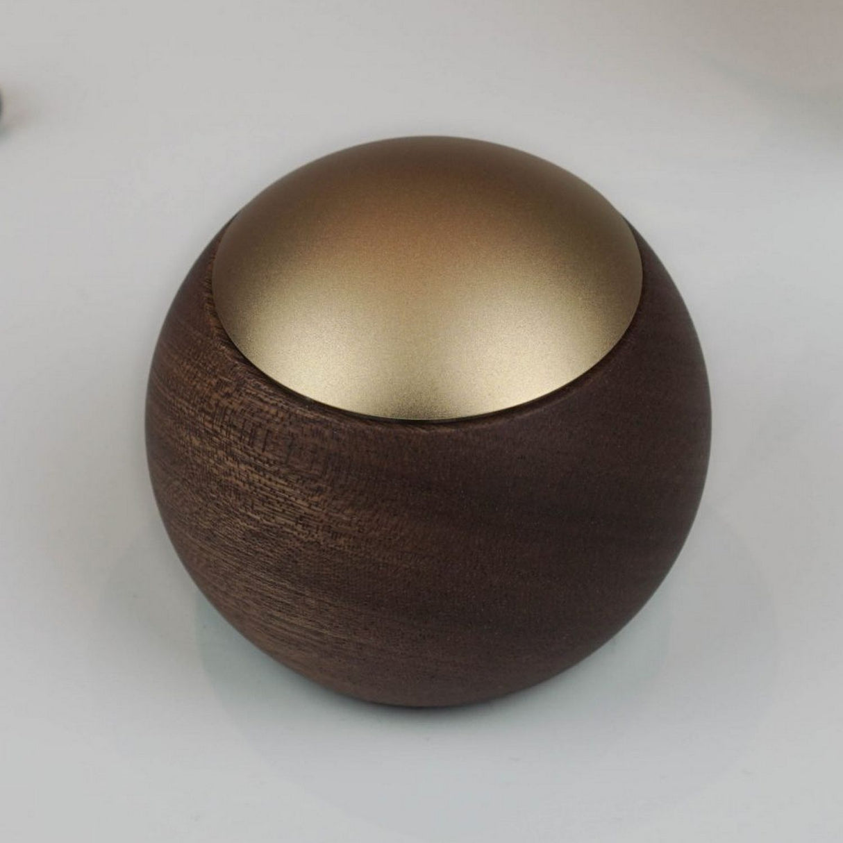 Portable Casambi Smart Touch Switch ~ Model Lepuk - Wired4Signs USA - Buy LED lighting online