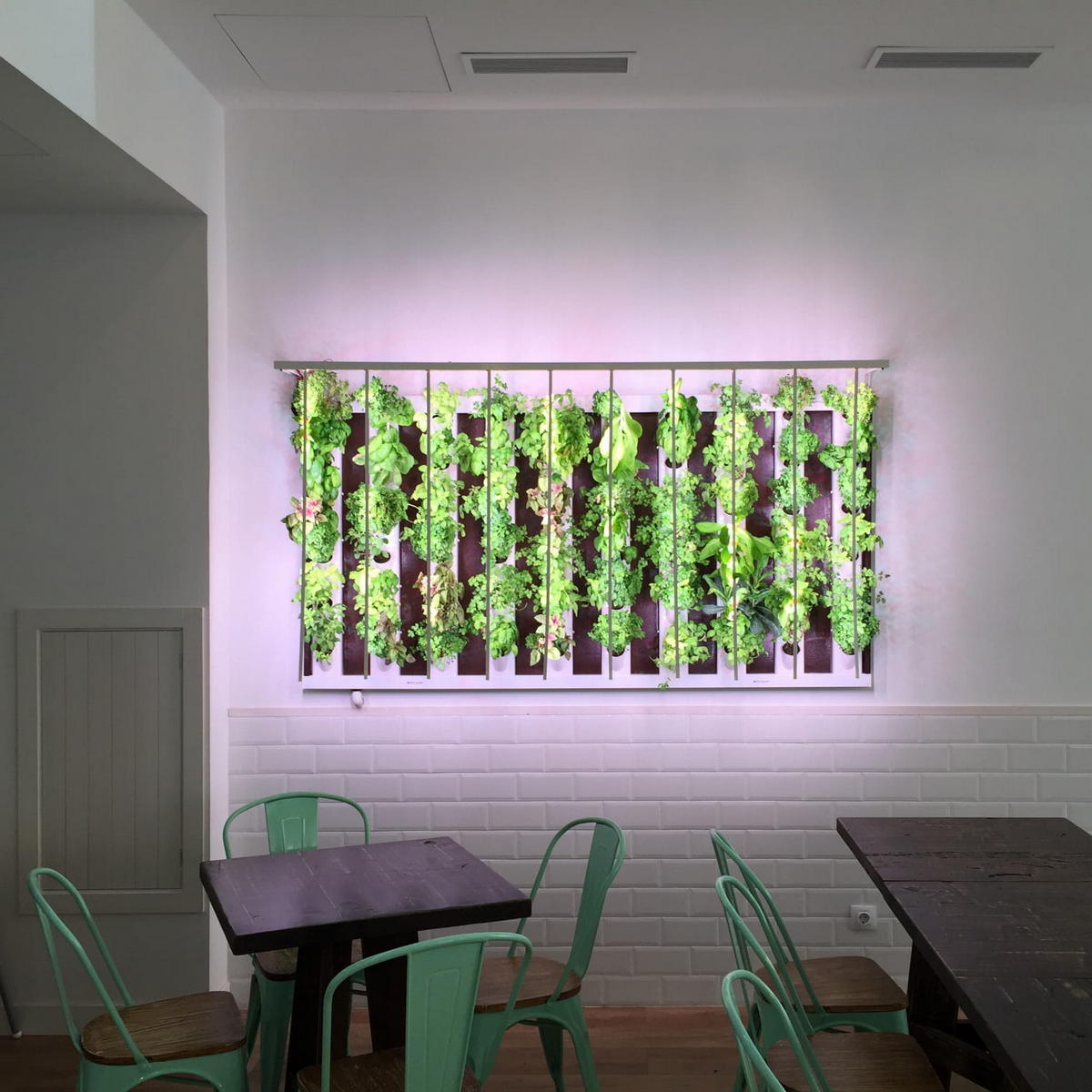 Horticultural Grow Light IP20 LED Strip (24V) ~ Cherry Tomato Series - Wired4Signs USA - Buy LED lighting online