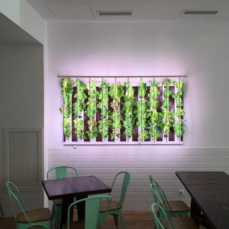 Horticultural Grow Light IP20 LED Strip (24V) ~ Cherry Tomato Series - Wired4Signs USA - Buy LED lighting online