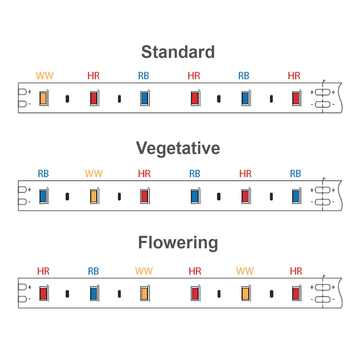 Horticultural Grow Light IP68 Waterproof LED Strip (24V) ~ Cherry Tomato Series - Wired4Signs USA - Buy LED lighting online