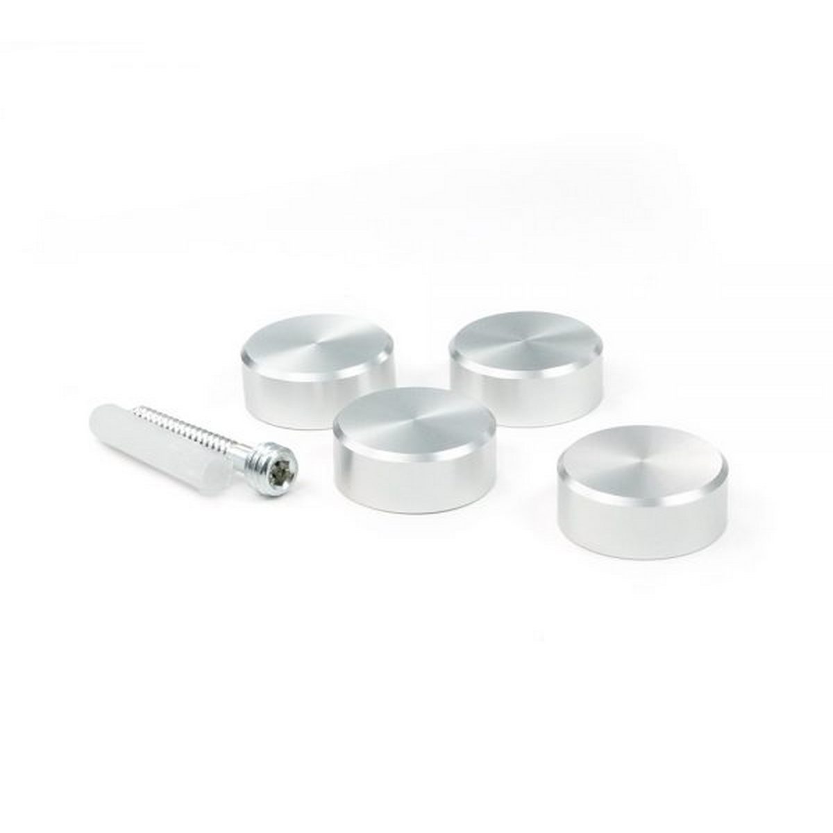 Gyford 1"D Through-hole Flush Mount Kit ~ Gyford Standoffs - Wired4Signs USA - Buy LED lighting online