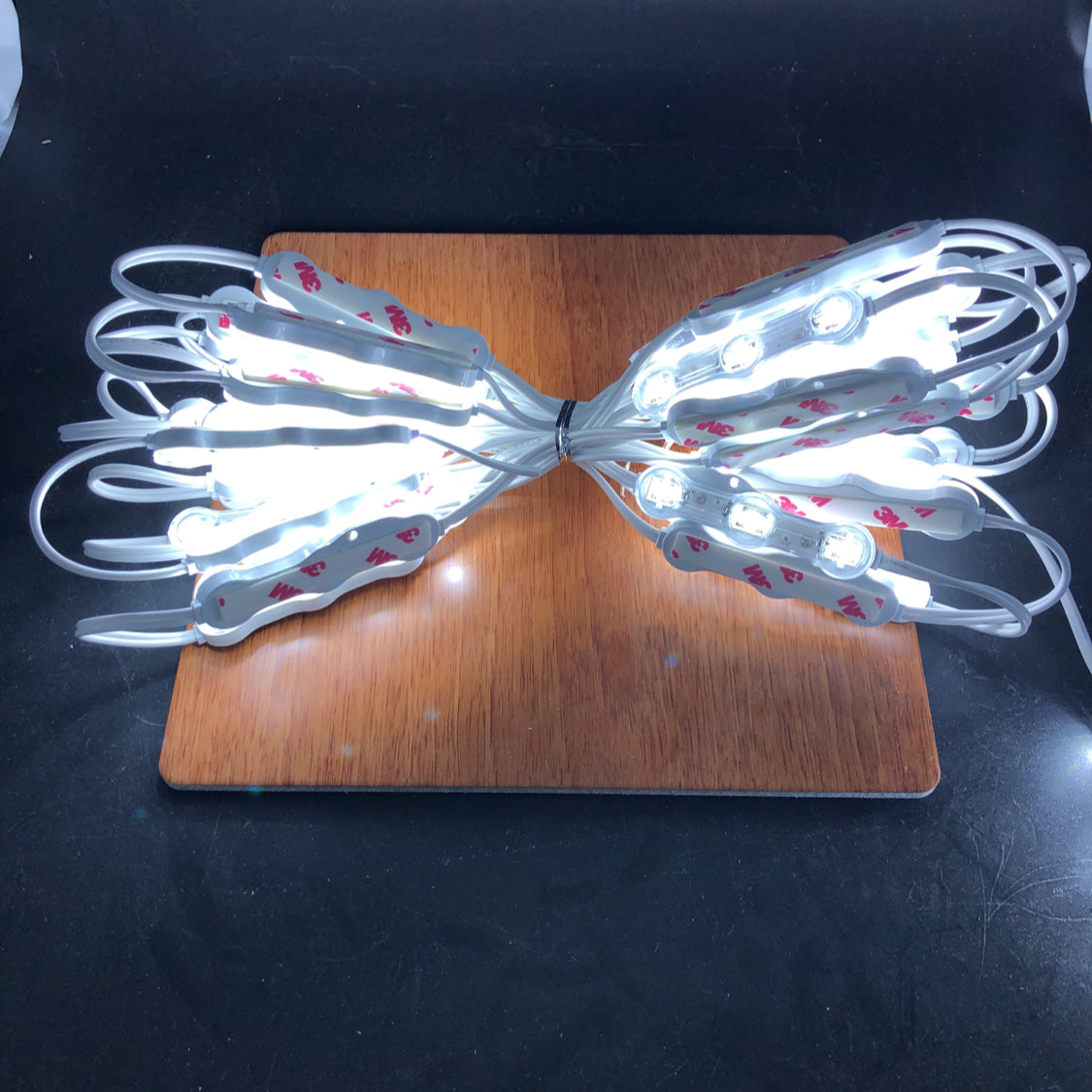 Samsung chip 3 LED module with 160 deg lens (12V) ~ White Peanut Series - Wired4Signs USA - Buy LED lighting online