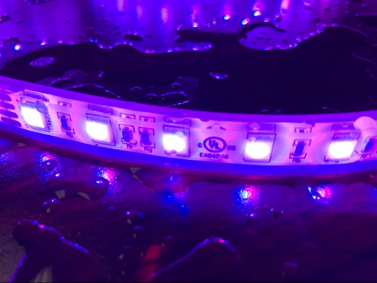 RGB LED Strip (24V) ~ Dahlia Series - Wired4Signs USA - Buy LED lighting online