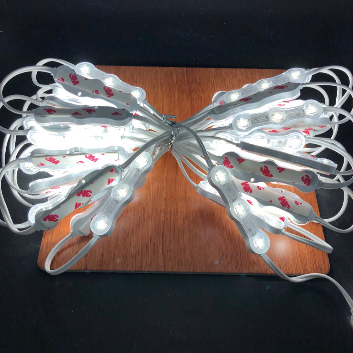 Samsung chip 3 LED module with 140 deg lens (12V) ~ White Peanut Series - Wired4Signs USA - Buy LED lighting online