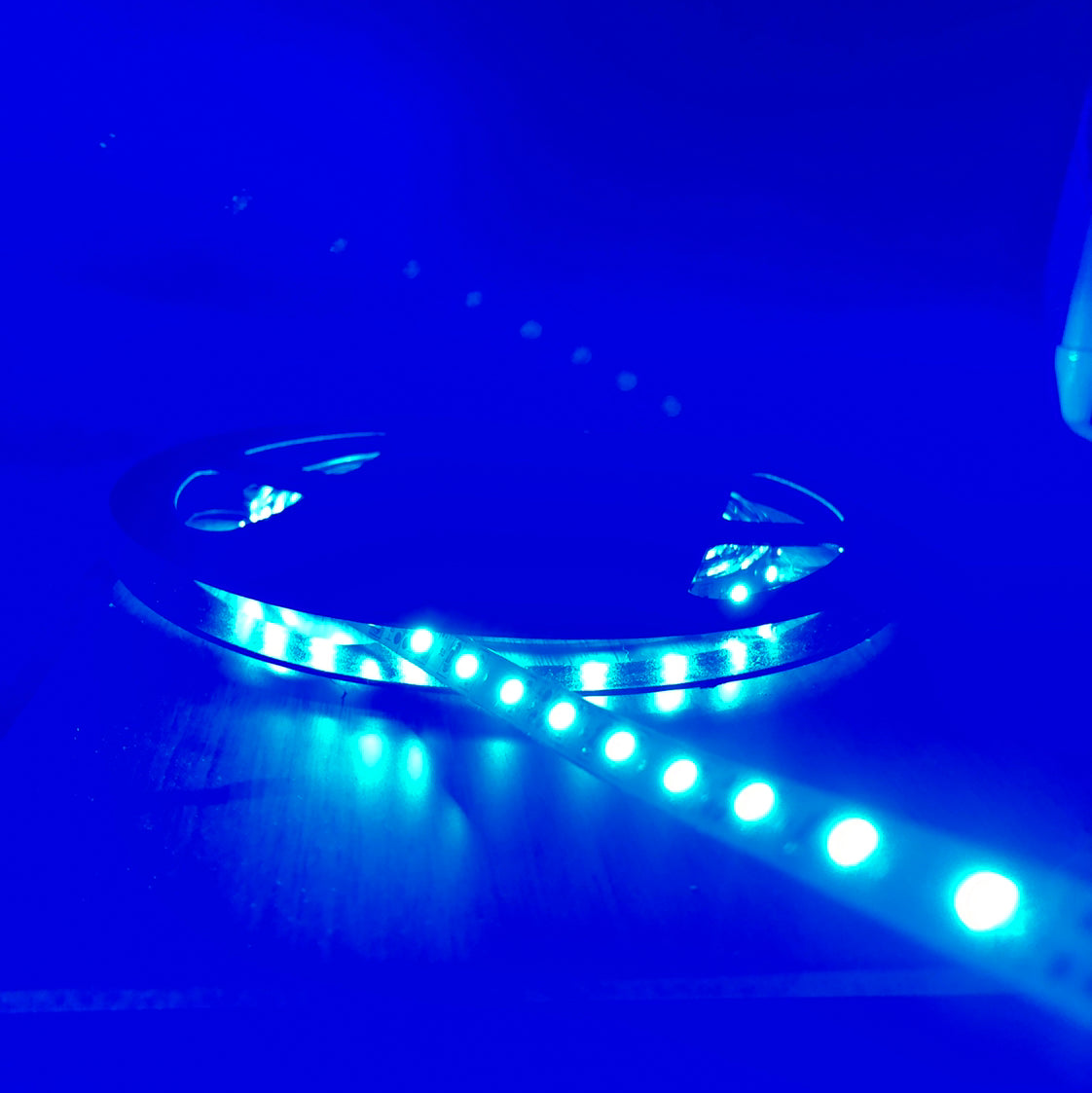 12v Constant Voltage LED Strip 3528 chip ~ Daisy Series - Wired4Signs USA - Buy LED lighting online