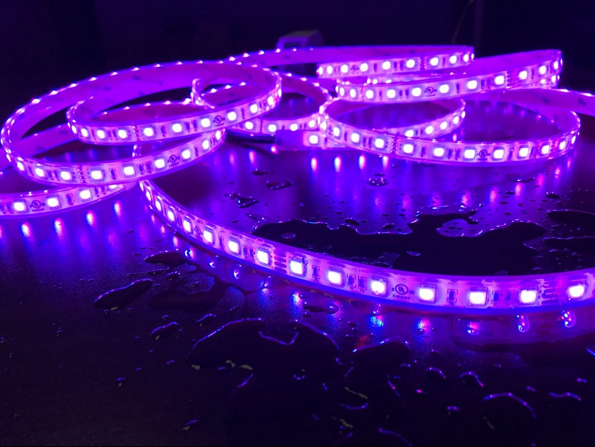 RGB LED Strip (24V) ~ Dahlia Series - Wired4Signs USA - Buy LED lighting online