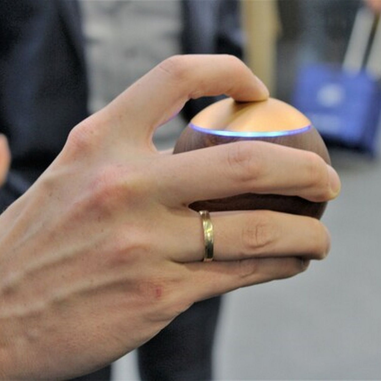 Portable Casambi Smart Touch Switch ~ Model Lepuk - Wired4Signs USA - Buy LED lighting online