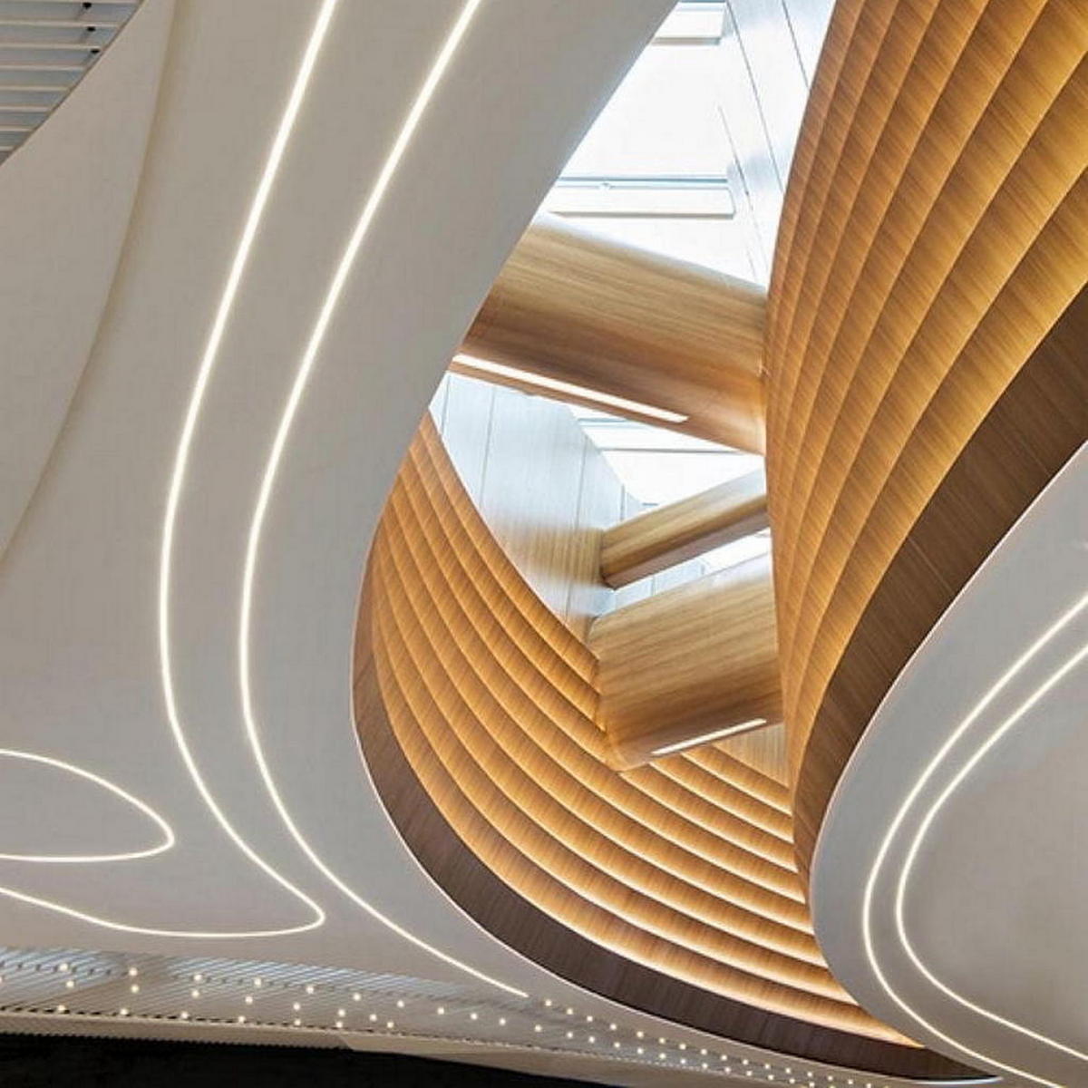 White High Output IP20 LED Strip (24V) ~ King Protea Series - Wired4Signs USA - Buy LED lighting online