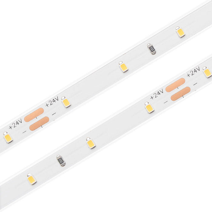 Single Color High Power IP68 Waterproof LED Strip (24V) ~ Carnation Series - Wired4Signs USA - Buy LED lighting online