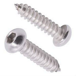 Two Stainless Steel Round Head Screws for End Caps, featuring threads along their shafts and positioned against a white background.