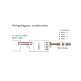 Casambi 4-Channel Bluetooth Mesh LED Controller ~ Model CBU-PWM4