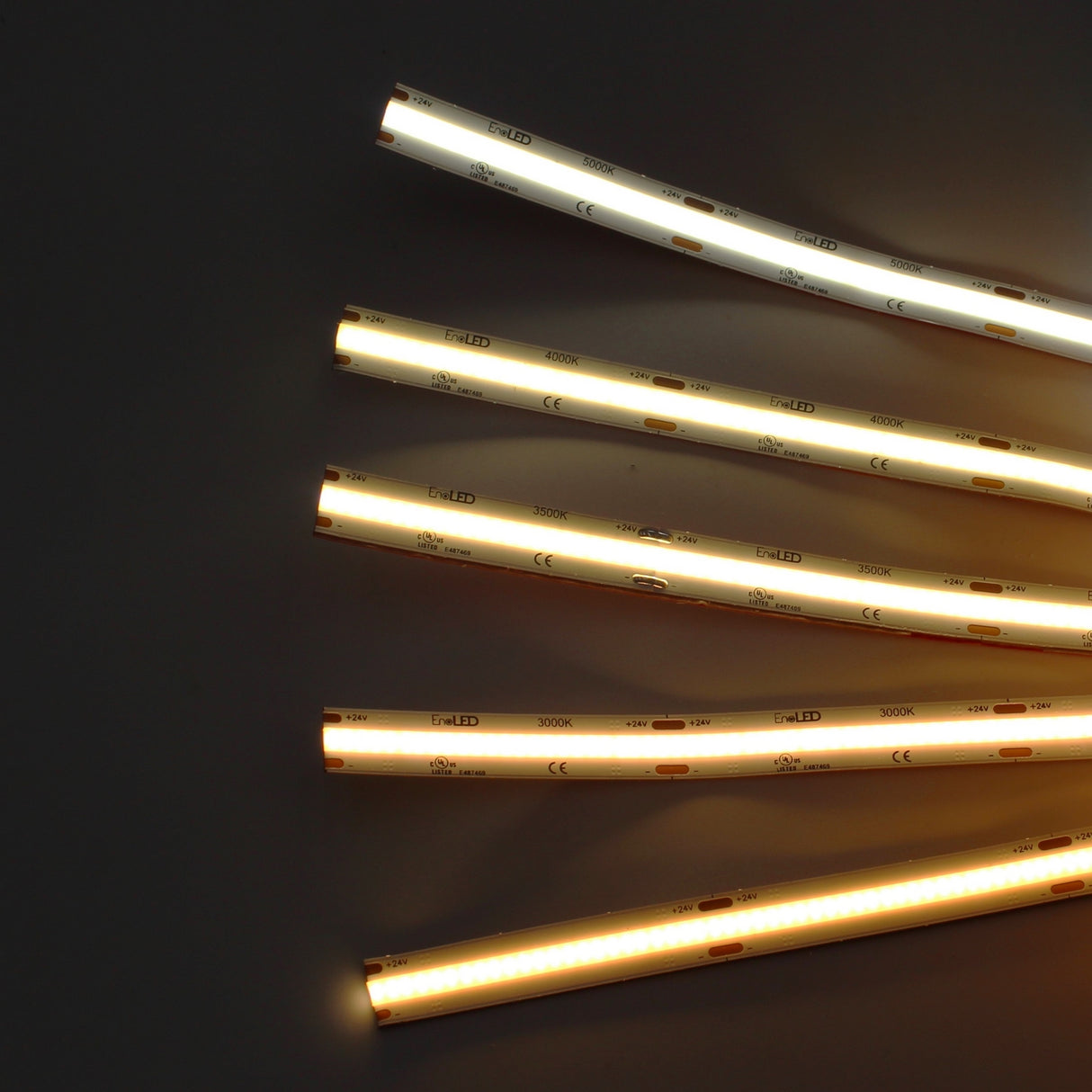 Five LED light strips—including the UniBasic Series COB IP20 Dotless LED Strip (24V) and a high CRI LED strip—span from warm yellow to cool white, arranged in parallel on a dark background.