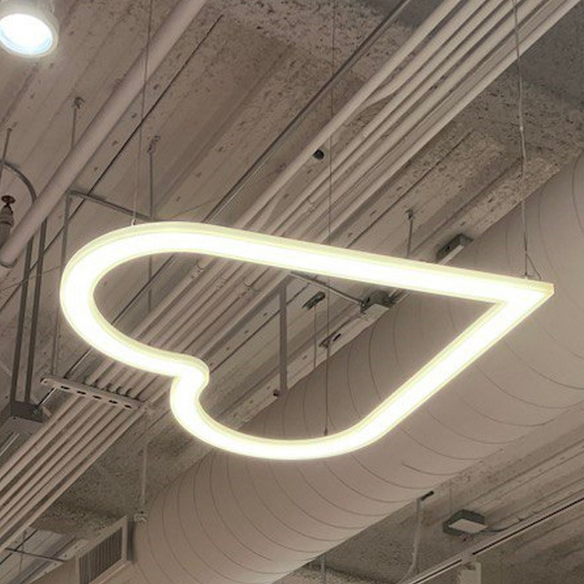 Heart Shaped Light Fixture