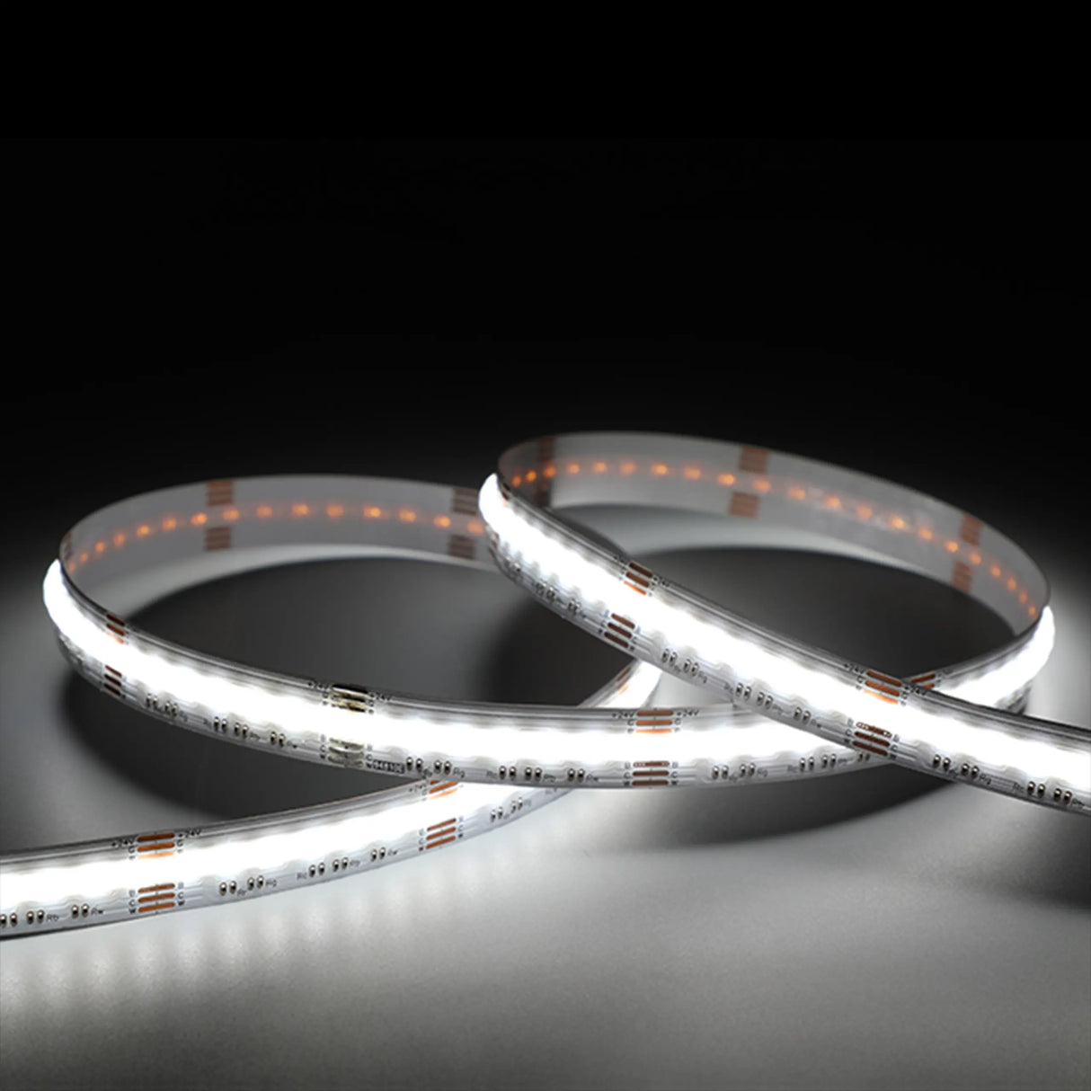 A close-up of two EnoLED UniColor Series RGB+CCT COB IP20 High CRI LED Strips (24V), glowing brightly with white light, coiled on a smooth surface against a dark background.