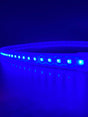 A close-up of the Bright RGB IP68 LED Strip (24V) ~ Verbena Series shows vivid blue light from individual LEDs on the flexible strip, glowing brightly against a dark background.