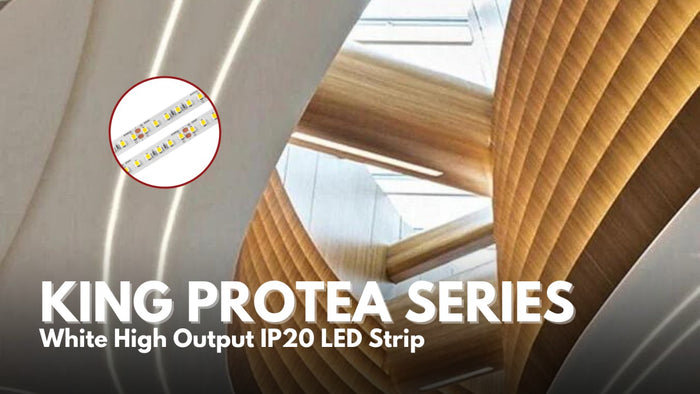 Close-up of the King Protea White High Output LED strip lit on a reel
