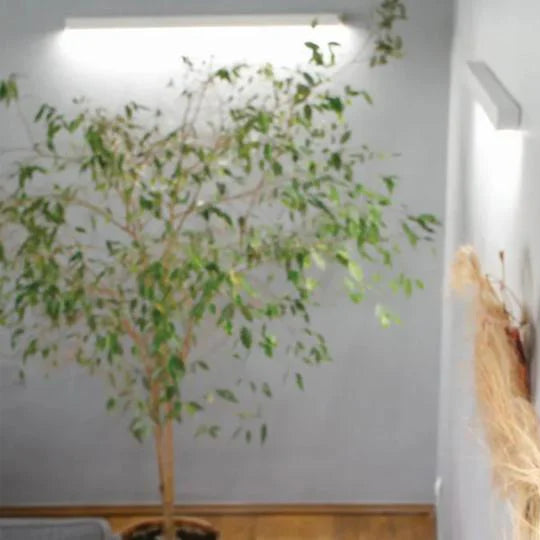 Surface mounted architectural LED channel applications