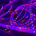 Horticultural Grow Light IP20 LED Strip (24V) ~ Cherry Tomato Series - Wired4Signs USA - Buy LED lighting online