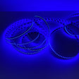 Single Color High Power IP20 LED Strip (24V) ~ Carnation Series - Wired4Signs USA - Buy LED lighting online