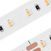 Single Color High Power IP68 Waterproof LED Strip (24V) ~ Carnation Series - Wired4Signs USA - Buy LED lighting online