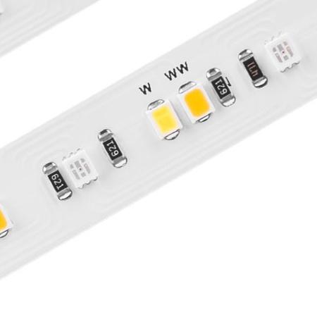 RGB CCT LED Strip ~ Strelitzia Series - Wired4Signs USA - Buy LED lighting online