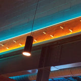4-in-1 Chip RGBW LED Strip ~ Hibiscus Series - Wired4Signs USA - Buy LED lighting online