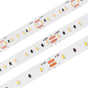 Single Color IP20 LED Strip (12V) ~ Carnation Series - Wired4Signs USA - Buy LED lighting online
