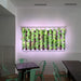 Horticultural Grow Light IP20 LED Strip (24V) ~ Cherry Tomato Series - Wired4Signs USA - Buy LED lighting online
