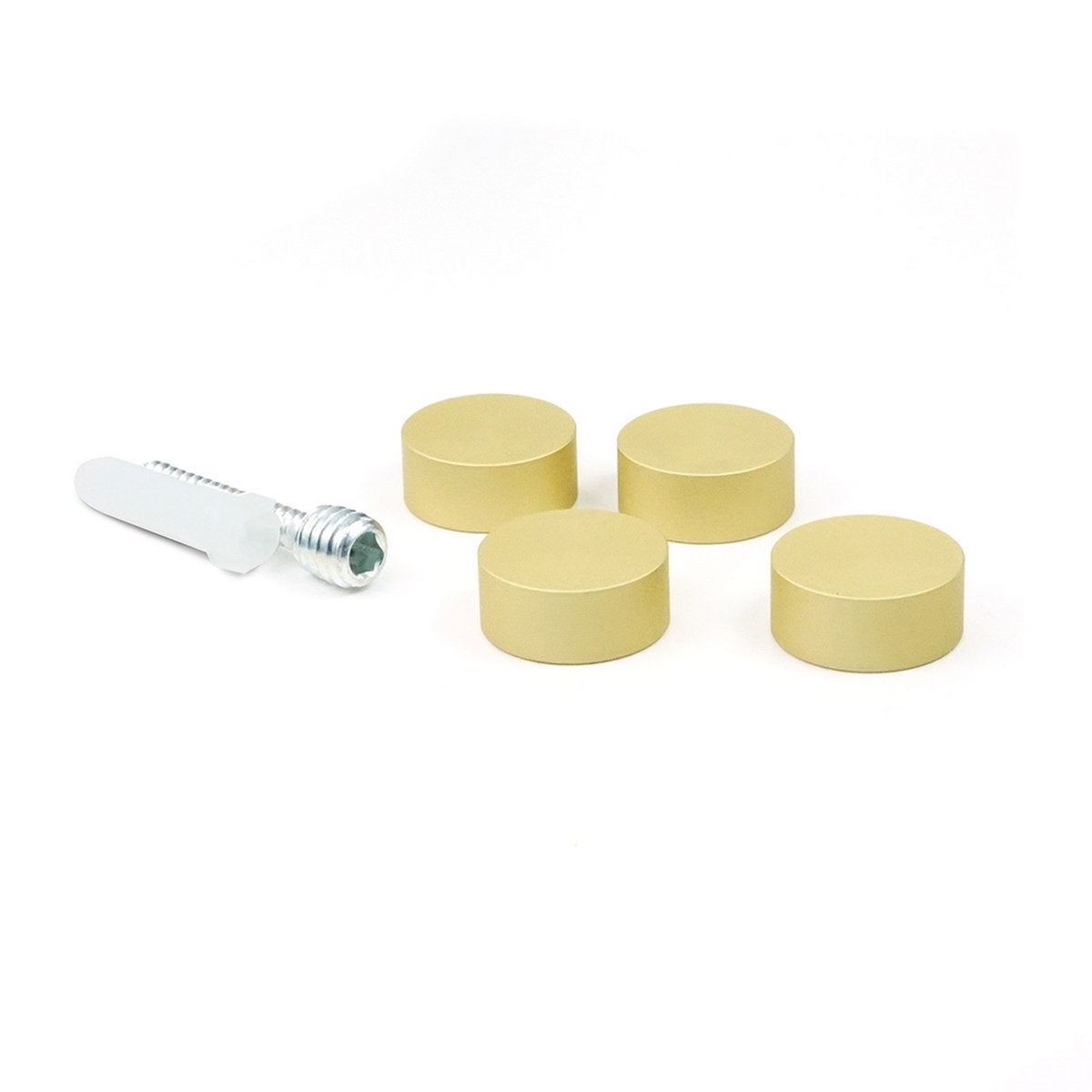 Gyford 3/4"D Flush Mount Signage Standoff Kit ~ SIMPLY Standoffs - Wired4Signs USA - Buy LED lighting online