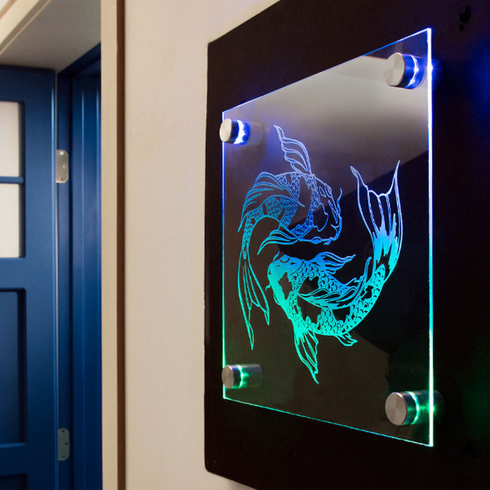 Gyford RGB LED Signage Standoff Kit ~ Gyford LED Standoffs for Sale