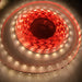 4.8w High CRI LED Strip ~ Protea Series - Wired4Signs USA - Buy LED lighting online
