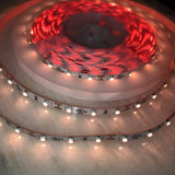 4.8w High CRI LED Strip ~ Protea Series - Wired4Signs USA - Buy LED lighting online