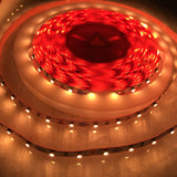 4.8w High CRI LED Strip ~ Protea Series - Wired4Signs USA - Buy LED lighting online