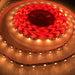 4.8w High CRI LED Strip ~ Protea Series - Wired4Signs USA - Buy LED lighting online