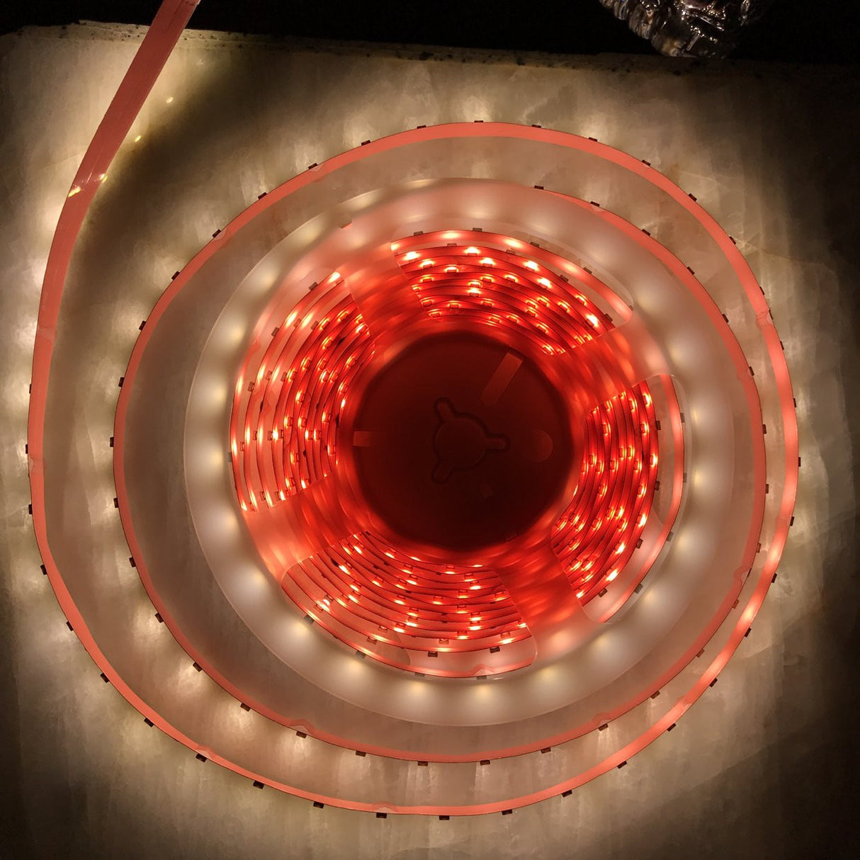 4.8w High CRI LED Strip ~ Protea Series - Wired4Signs USA - Buy LED lighting online