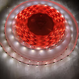 4.8w High CRI LED Strip ~ Protea Series - Wired4Signs USA - Buy LED lighting online