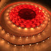 4.8w High CRI LED Strip ~ Protea Series - Wired4Signs USA - Buy LED lighting online